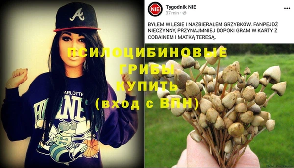 МДМА Приозерск