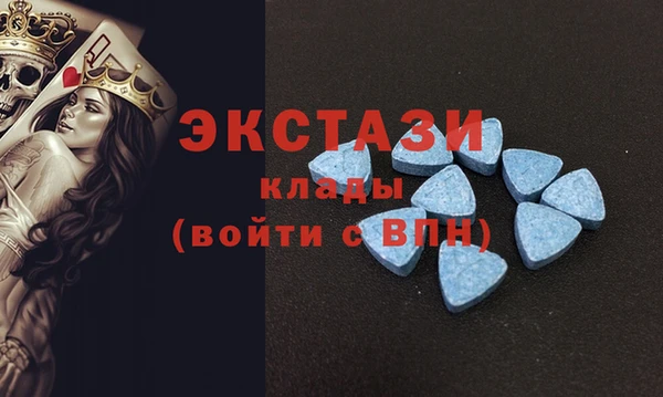 гашик Алексин