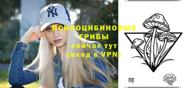 скорость Абаза