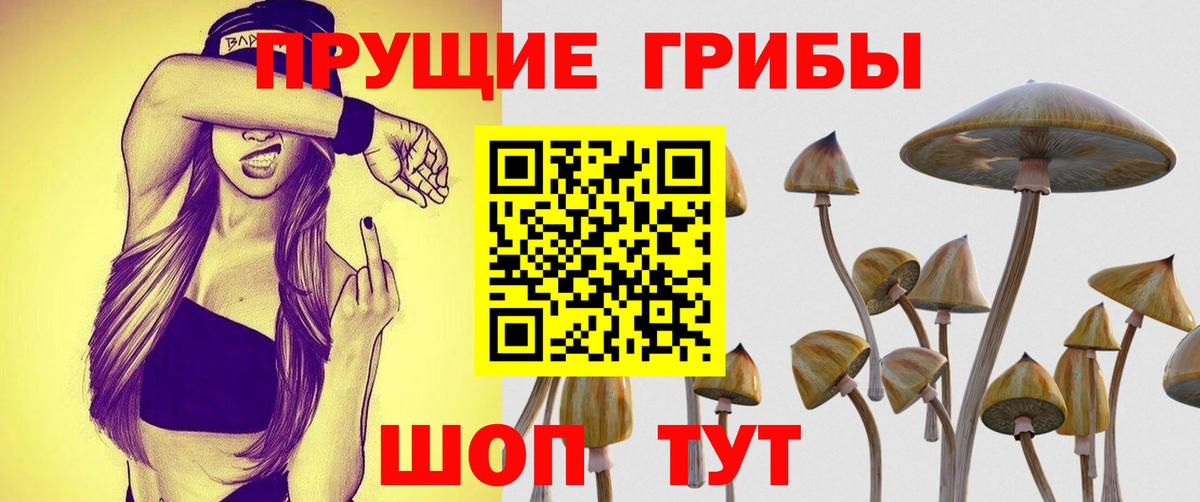 Ипатово  Псилоцибиновые грибы прущие грибы  Вход с VPN 